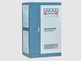 TDGZ/TSGZ大功率柱式電動(dòng)調(diào)壓器